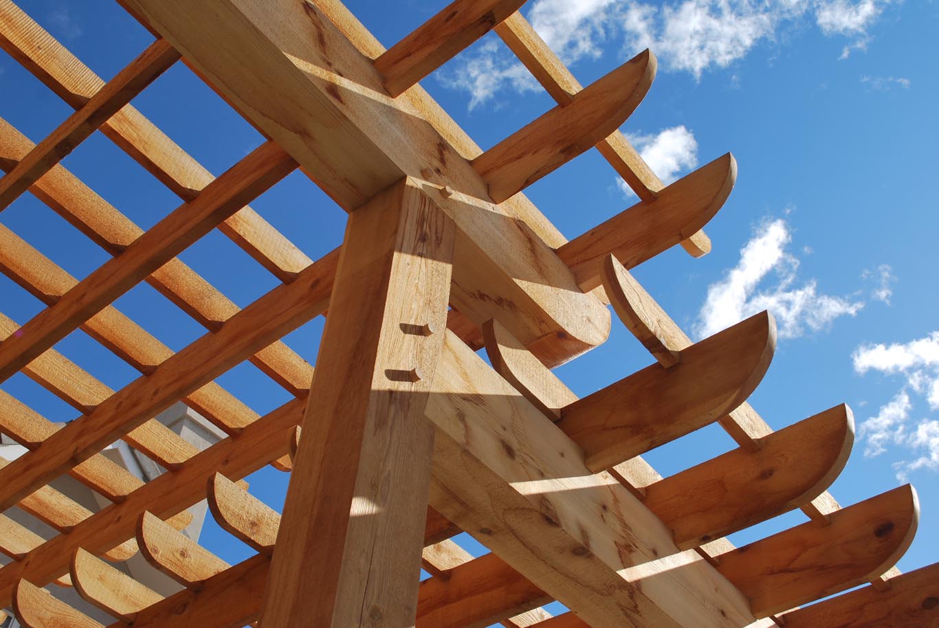 custom backyard timber pergola